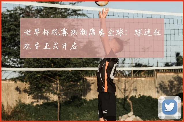 世界杯观赛热潮席卷全球：球迷狂欢季正式开启